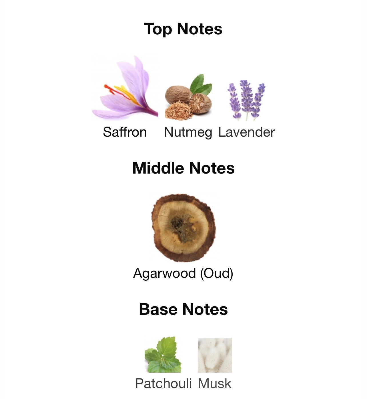 Oud for Greatness by Initio – 1ml, 5ml & 10ml Decants - ScentTok